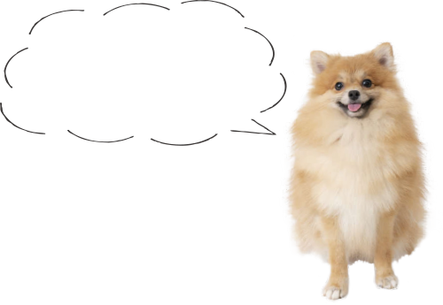 犬の画像