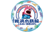 桂浜水族館