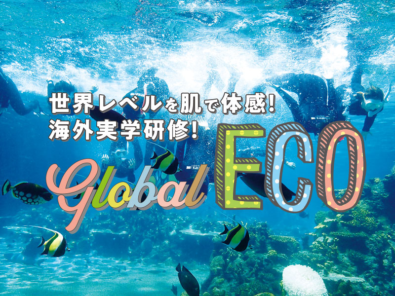 グローバル ECO