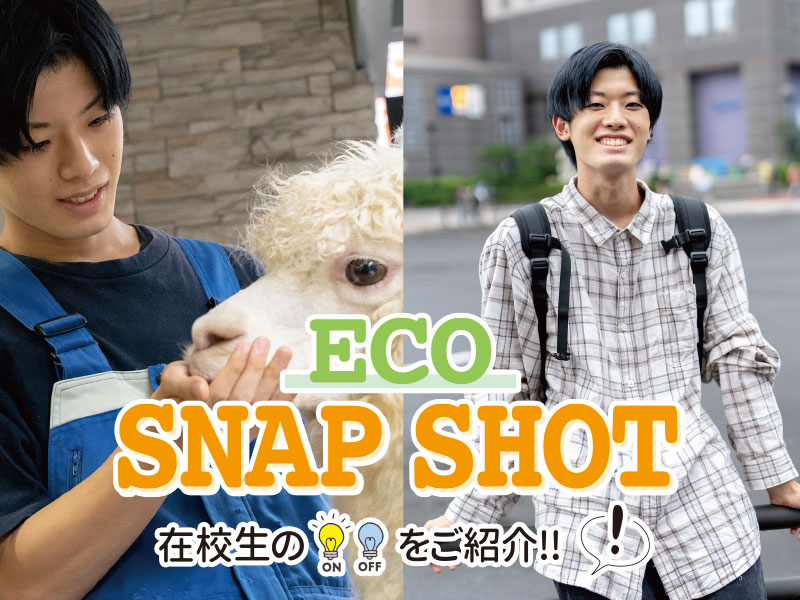 ECO SNAPSHOT