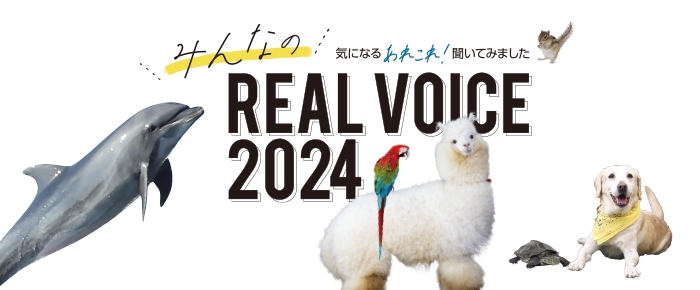 みんなの気になるあれこれ聞いてみました REAL VOICE 2024