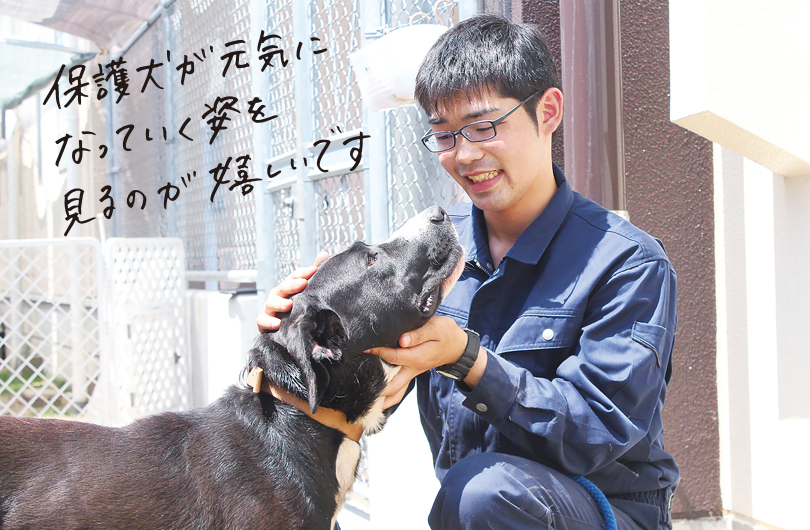 保護犬が元気になっていく姿を見るのが嬉しいです