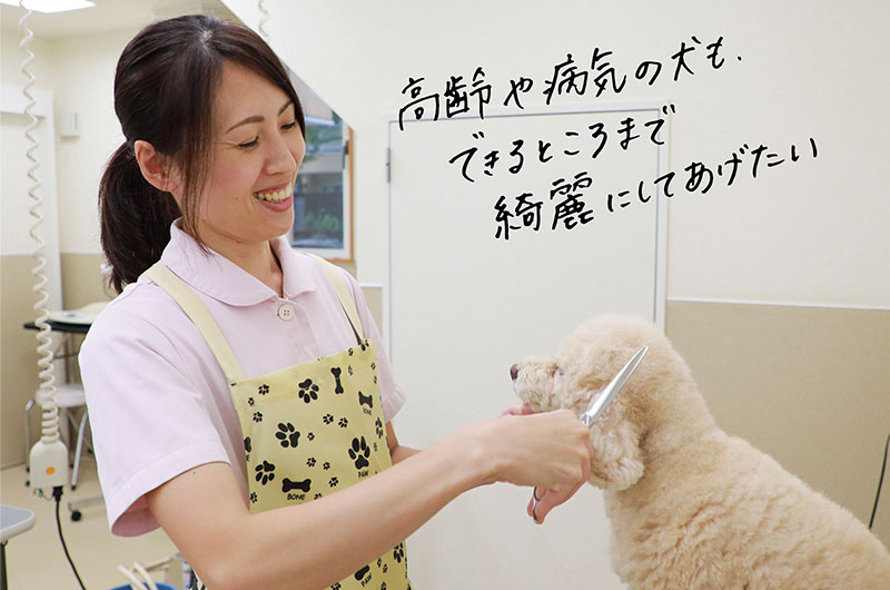 高齢や病気の犬もできるところまで綺麗にしてあげたい