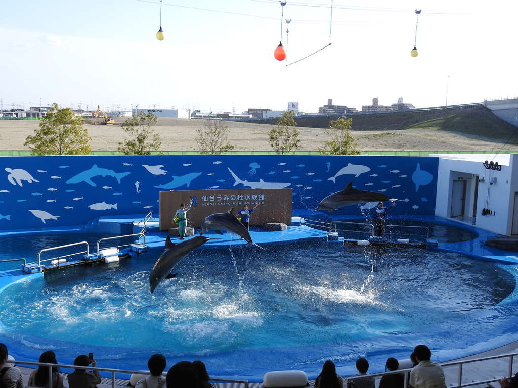 ［１年生］初めての水族館見学実習