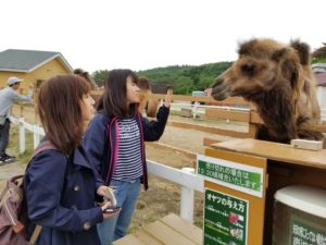 那須どうぶつ王国見学実習