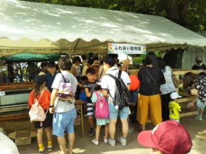 TBC夏まつり☆2018 ふれあい動物園