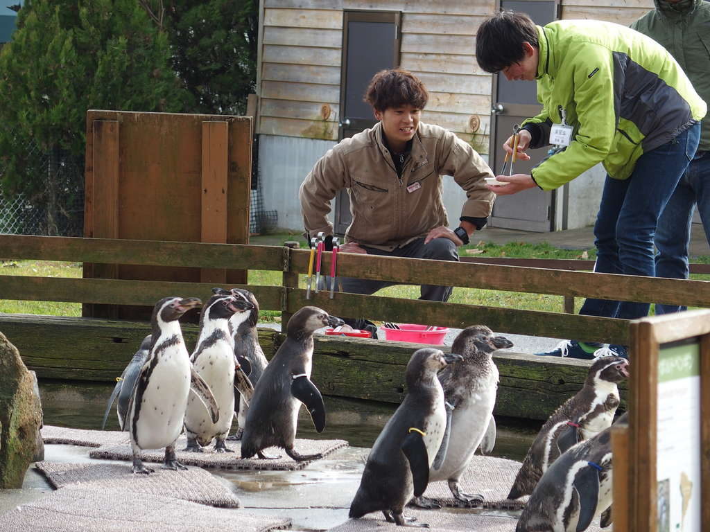 那須どうぶつ王国宿泊実習｜仙台ECOブログ｜仙台ECO動物海洋専門学校