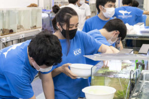 写真・動画で見る「水族館・アクアリスト専攻」