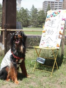 わんわん夏の運動会！！