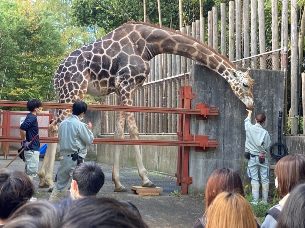 八木山動物公園フジサキ杜にて