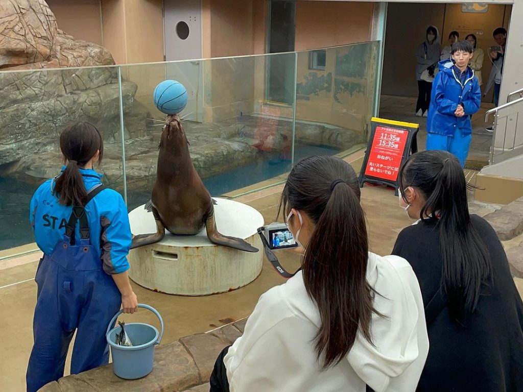 ドルフィントレーナー専攻　男鹿水族館見学実習