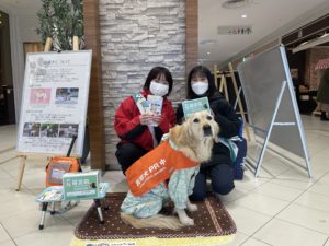 日本盲導犬協会＊ボランティア活動