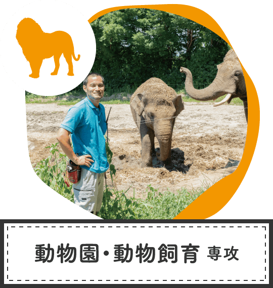 動物園・動物飼育専攻