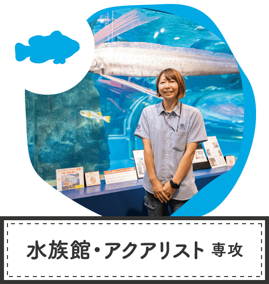 水族館・アクアリスト専攻