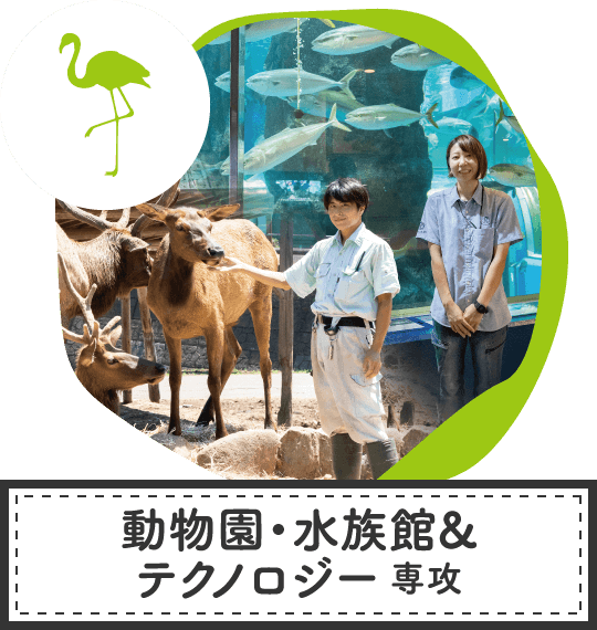 動物園・水族館＆テクノロジー専攻