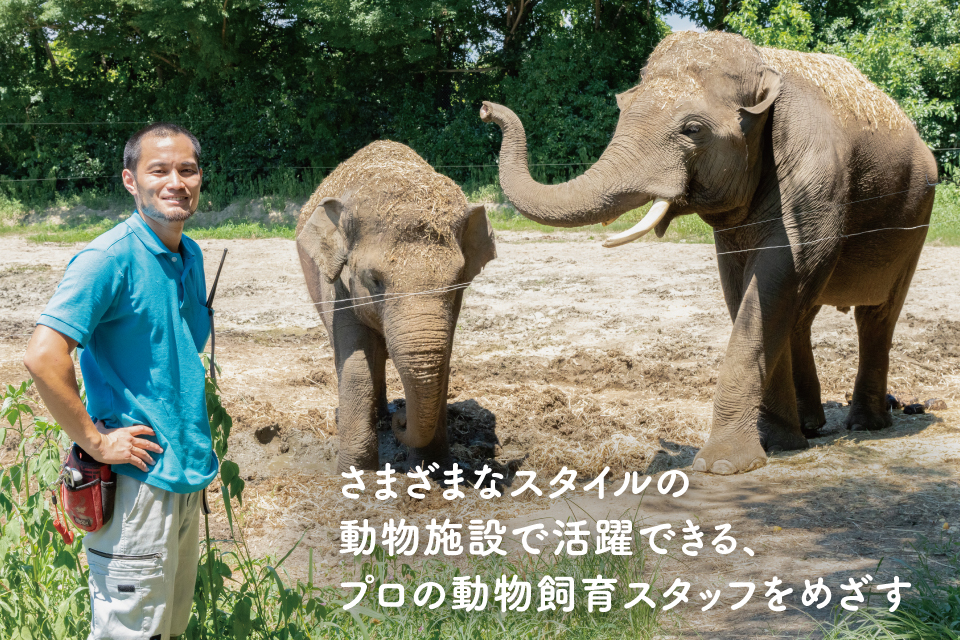 すべての動物画像 最新動物 飼育 員 資格