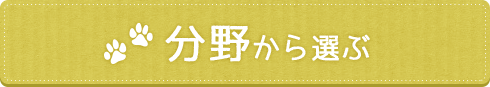 分野から選ぶ