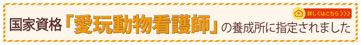 国家資格「愛玩動物看護師」の養成所に指定されました