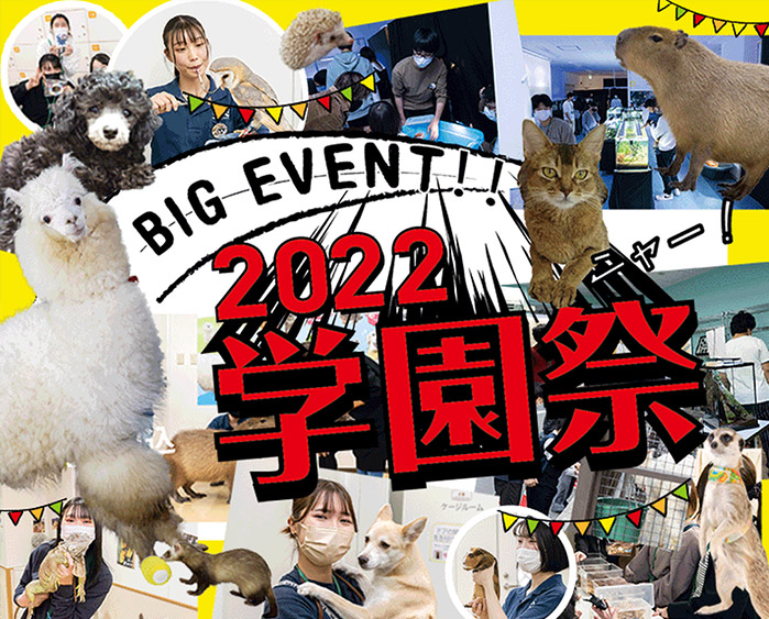 仙台ECO 学園祭2022