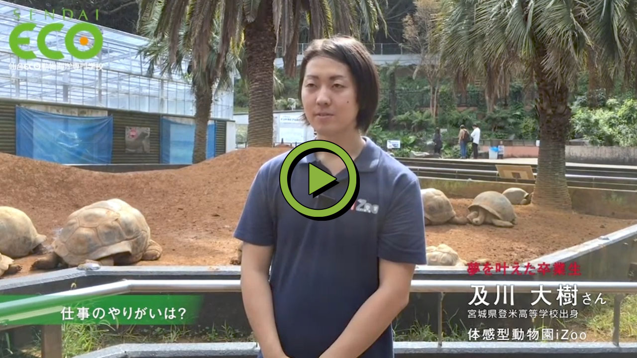 夢を叶えた卒業生【動物園飼育員】