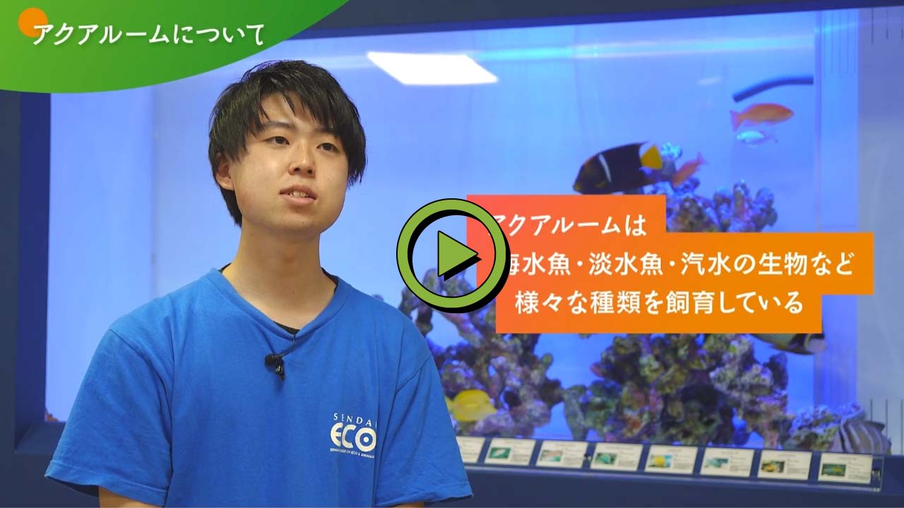 専攻紹介【水族館・アクアリスト】