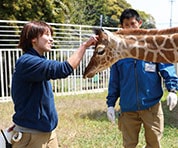 動物園スタッフ