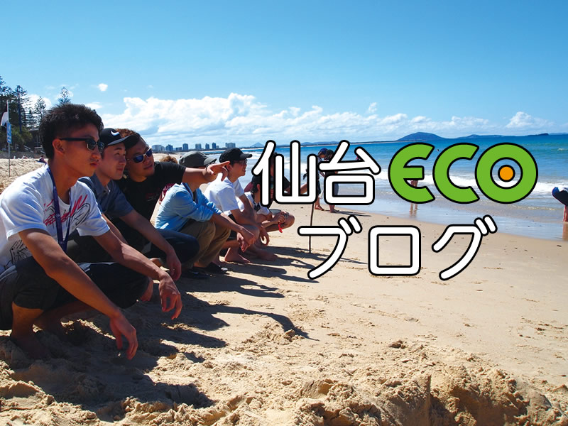 仙台ECOブログ